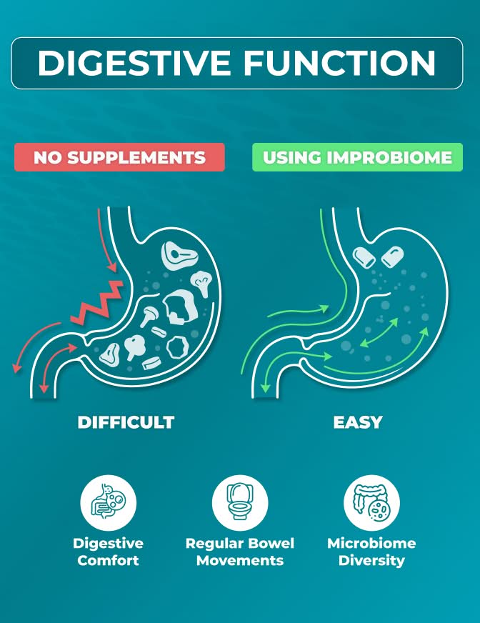 Digestive Function