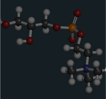 Alpha Glyceryl-Phosphoryl-Choline