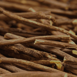 Licorice Root