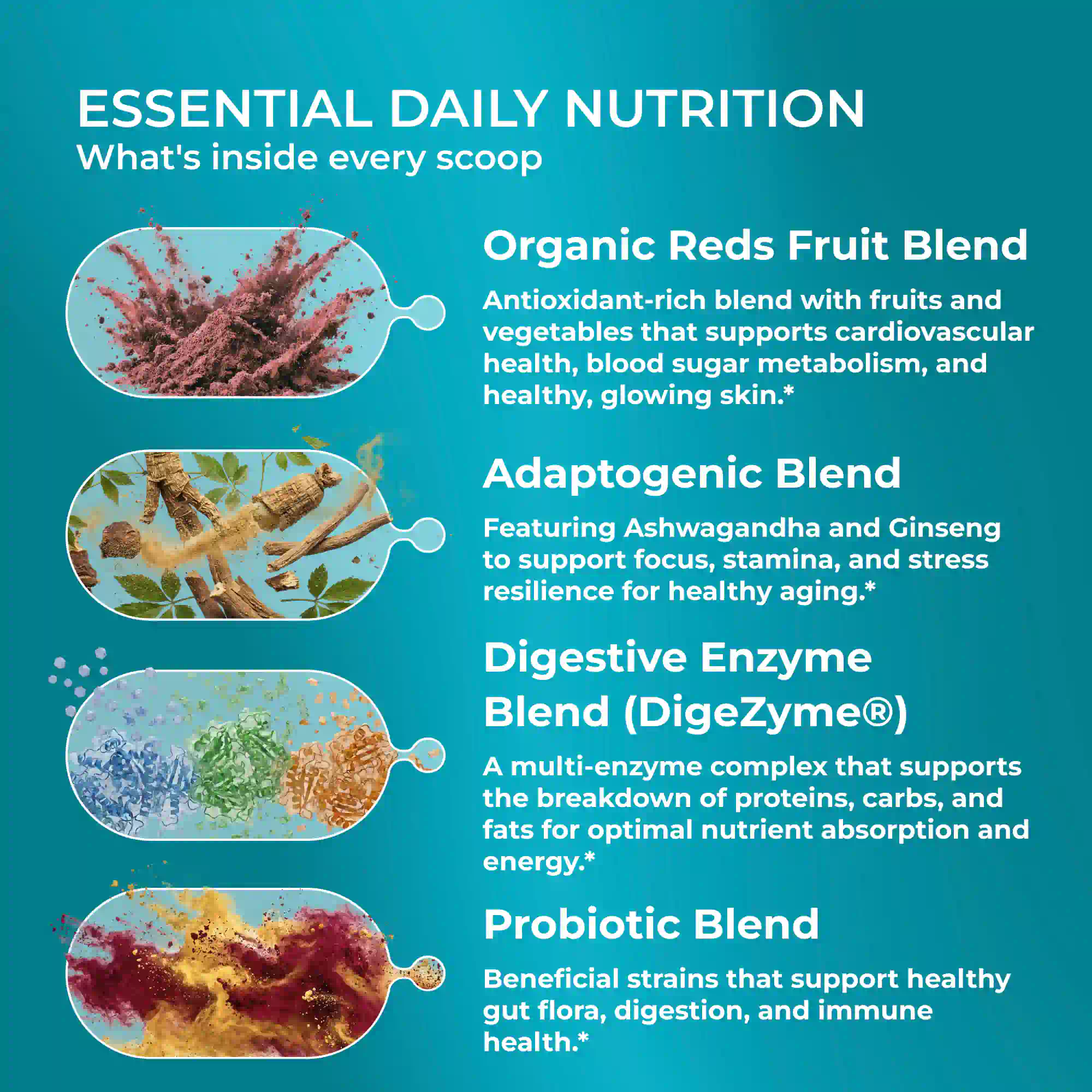 Metabolic Reds+